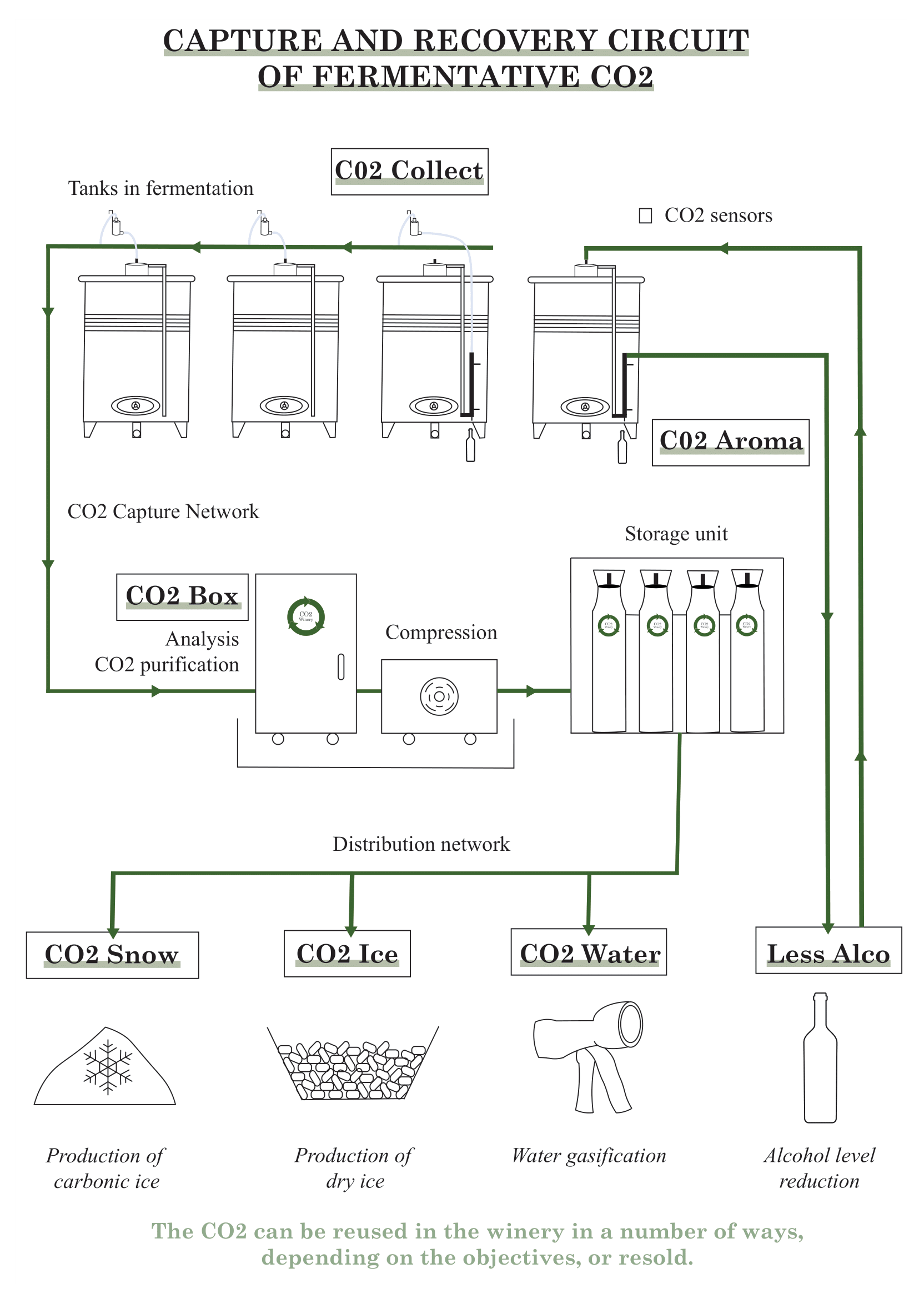 Schema de la captation du CO2, purification du CO2, analyse du CO2, valorisation du CO2, réutilisation du CO2 fermentaire dans les cuves des chais