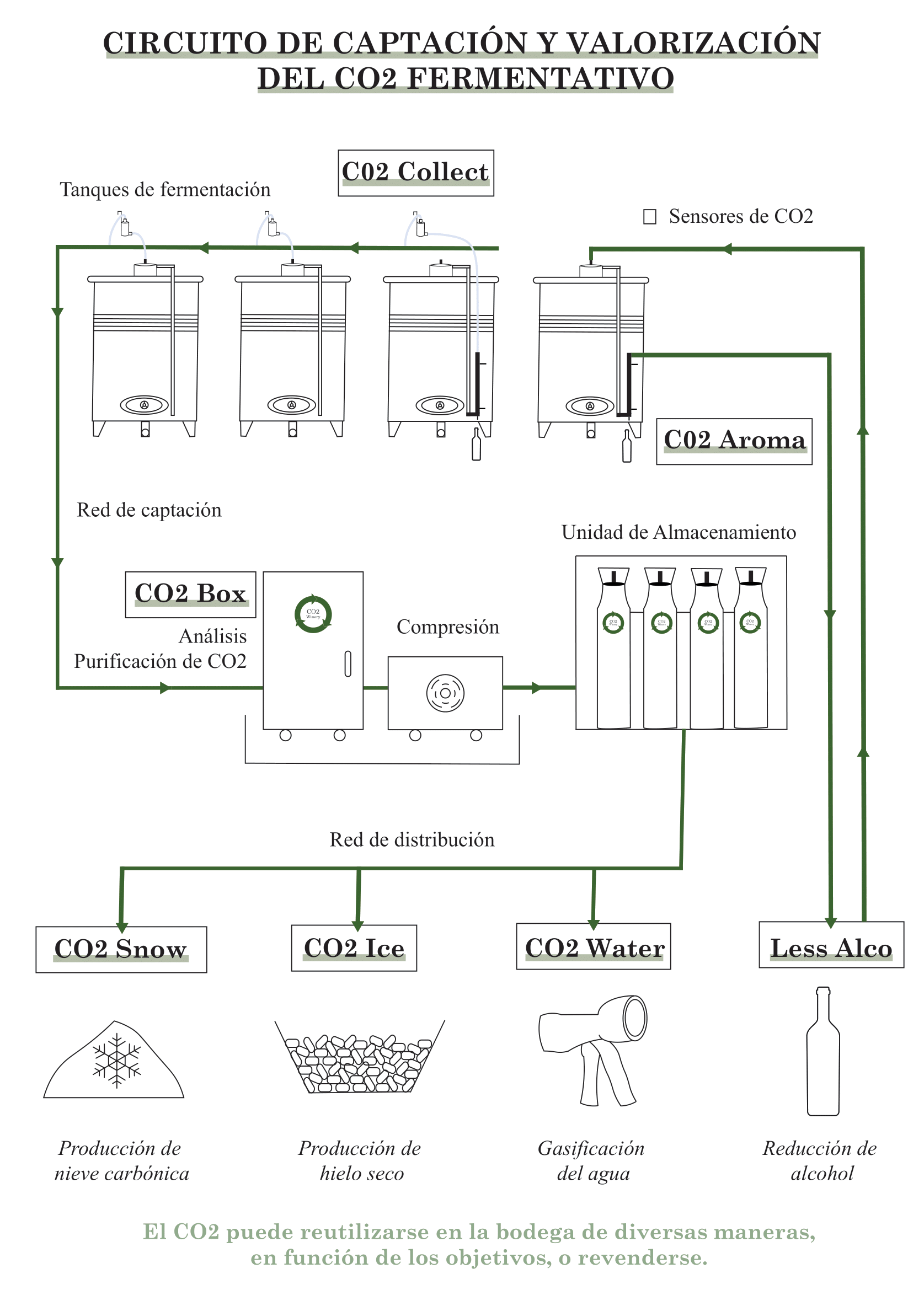 Schema de la captation du CO2, purification du CO2, analyse du CO2, valorisation du CO2, réutilisation du CO2 fermentaire dans les cuves des chais