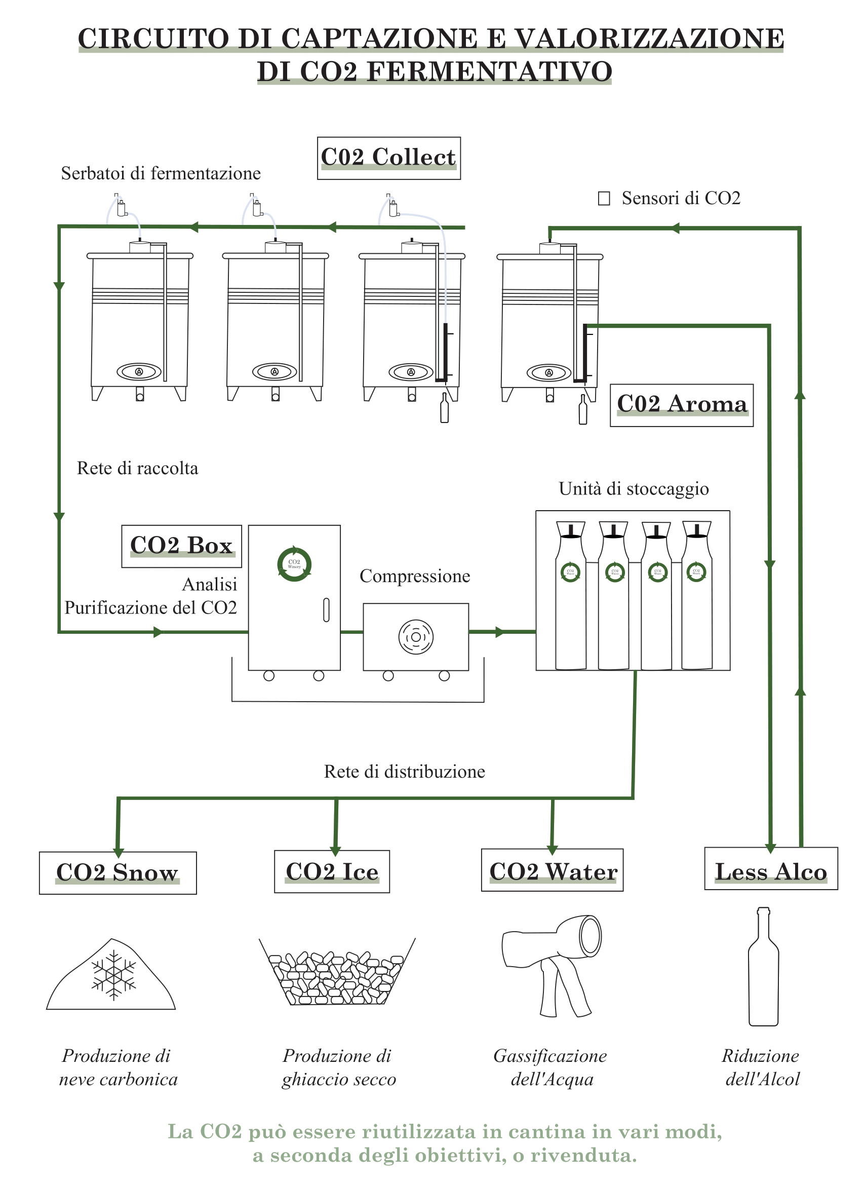 Schema de la captation du CO2, purification du CO2, analyse du CO2, valorisation du CO2, réutilisation du CO2 fermentaire dans les cuves des chais