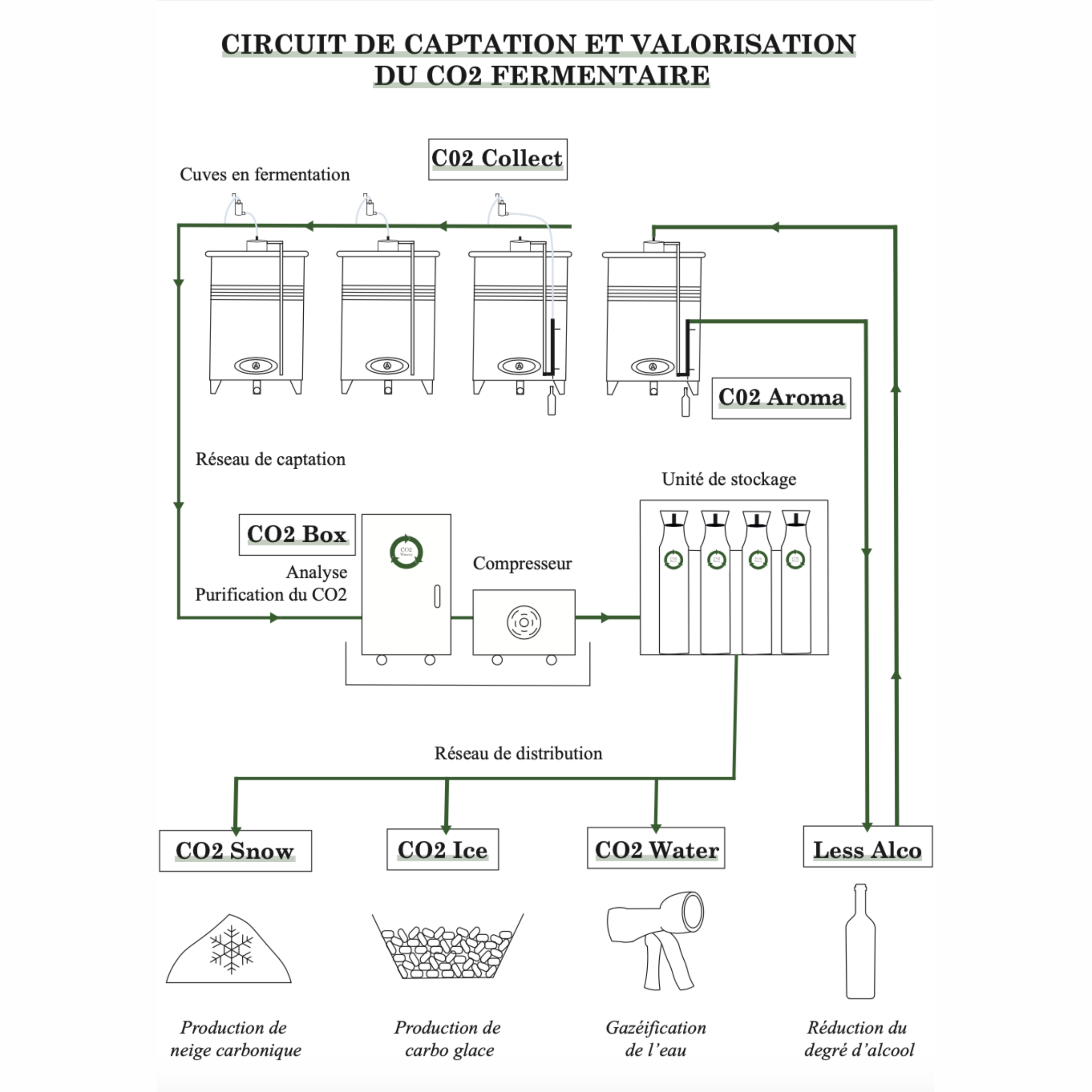 Schema de la captation du CO2, purification du CO2, analyse du CO2, valorisation du CO2, réutilisation du CO2 fermentaire dans les cuves des chais